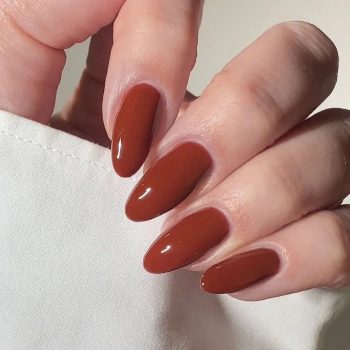 DIVA Duo DV251 Màu đỏ sô cô la