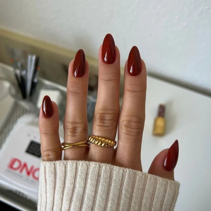 DIVA Duo DV251 Màu đỏ sô cô la
