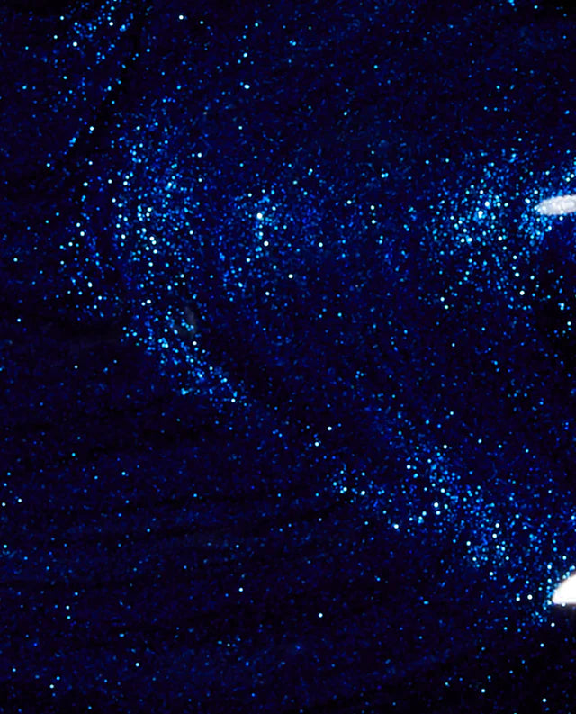 OPI Nail Lacquer NL I47 YOGA-TA GET THIS BLUE!