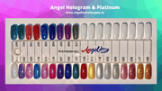 Angel Hologram & Platinum Full Set ( 27 colors ) - Angelina Nail Supply NYC