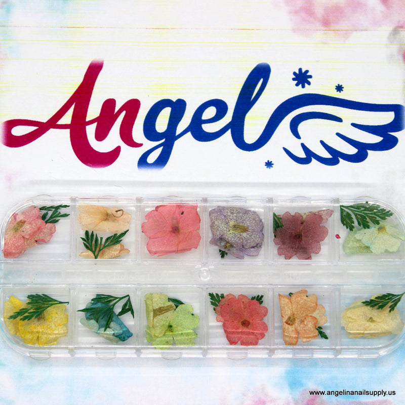Dry Flower #6 - Angelina Nail Supply NYC